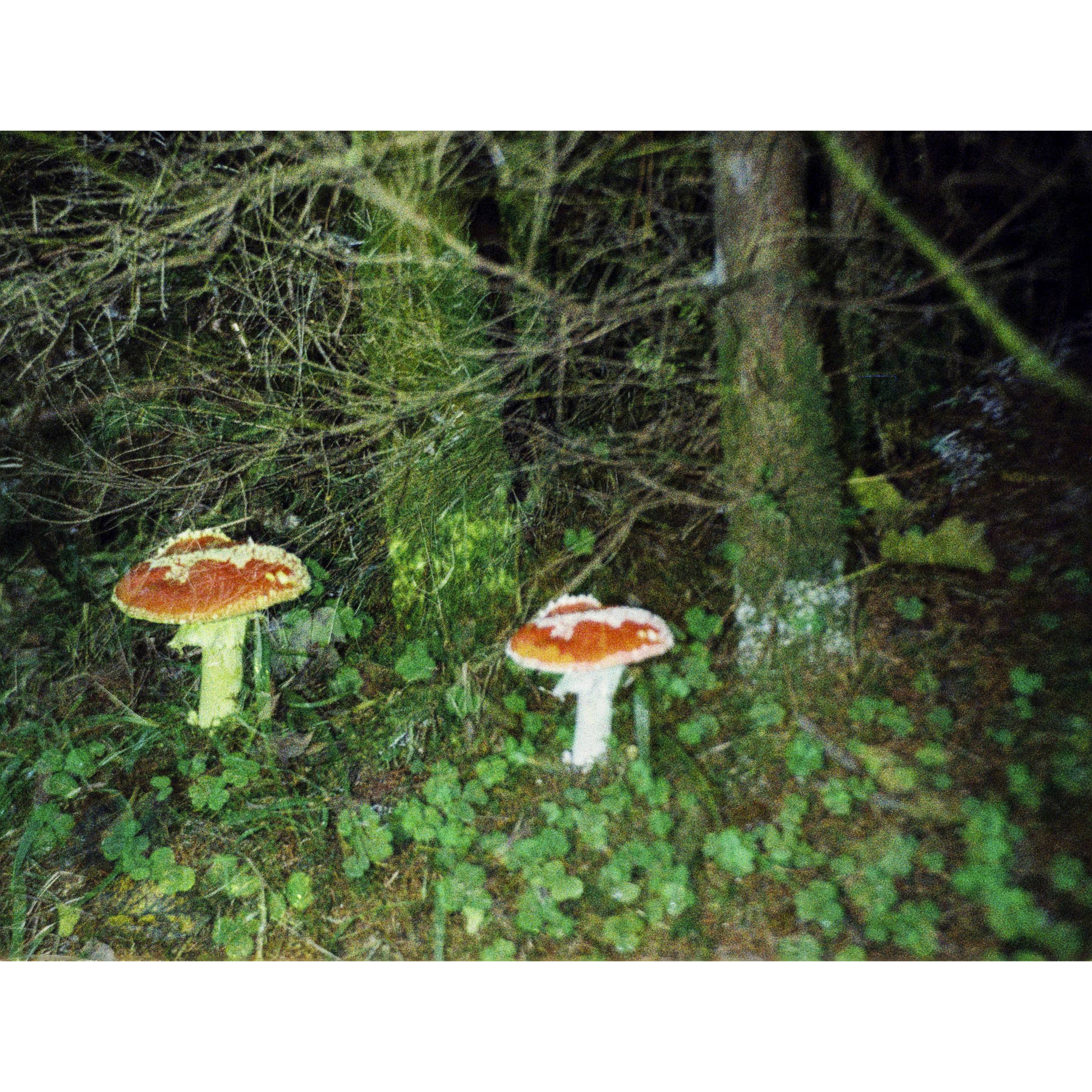 untitled 3
